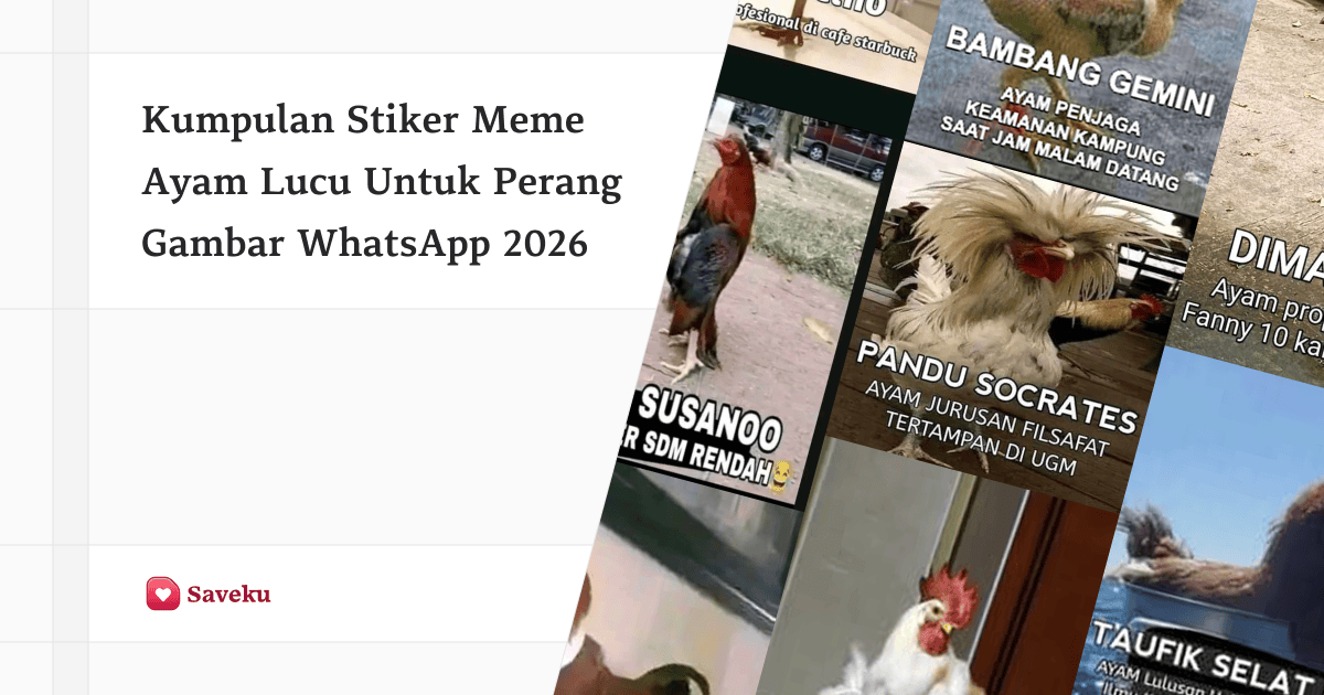 Kumpulan stiker meme ayam lucu untuk perang gambar WhatsApp 2026