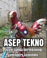 Stiker meme ayam lucu WhatsApp: Asep Tekno, ayam Sunda berteknologi avengers assemble