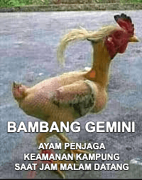Stiker meme ayam lucu WhatsApp: Bambang Gemini, ayam penjaga keamanan kampung saat jam malam datang