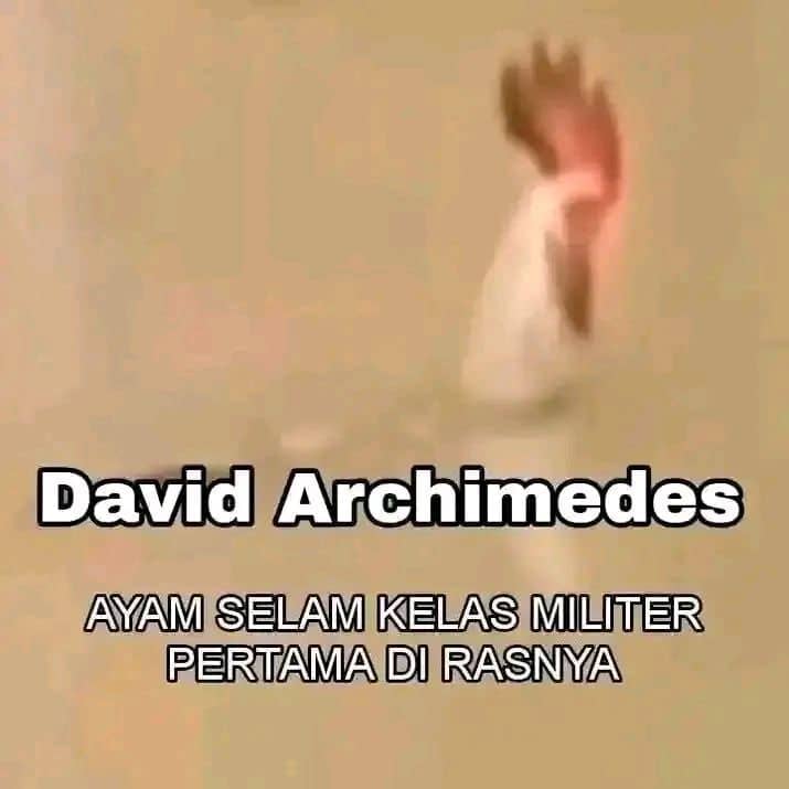 Stiker meme ayam lucu WhatsApp: David Archimedes, ayam selam kelas militer pertama di rasnya