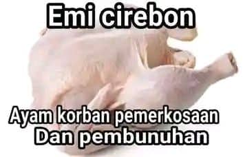 Stiker meme ayam lucu WhatsApp: Emi Cirebon, ayam asli Cirebon