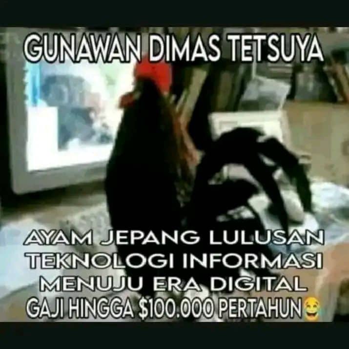 Stiker meme ayam lucu WhatsApp: Gunawan Dimas Tetsuya, ayam Jepang lulusan teknologi informasi menuju era digital gaji hingga $100.000 pertahun.