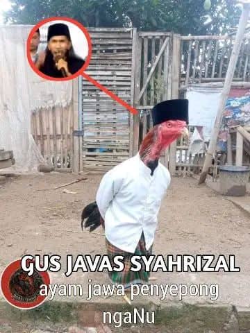 Stiker meme ayam lucu WhatsApp: Gus Javas Syahrizal, ayam Jawa penyepong ngaNu