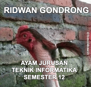 Stiker meme ayam lucu WhatsApp: Ridwan Gondrong, ayam jurusan teknik informatika semester 12