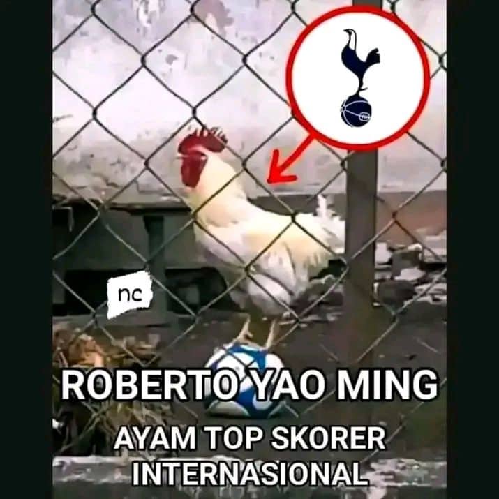 Stiker meme ayam lucu WhatsApp: Roberto Yao Ming, ayam top skorer internasional