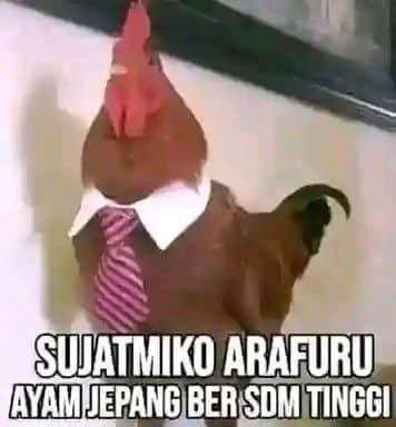 Stiker meme ayam lucu WhatsApp: Sujatmiko Arafuru, ayam Jepang ber SDM tinggi