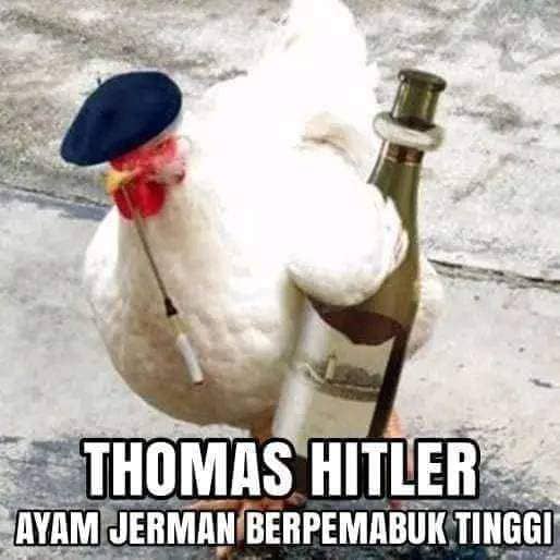Stiker meme ayam lucu WhatsApp: Thomas Hitler, ayam Jerman berpemabuk tinggi