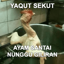 Stiker meme ayam lucu WhatsApp: Yaqut Sekut, ayam santai nunggu giliran