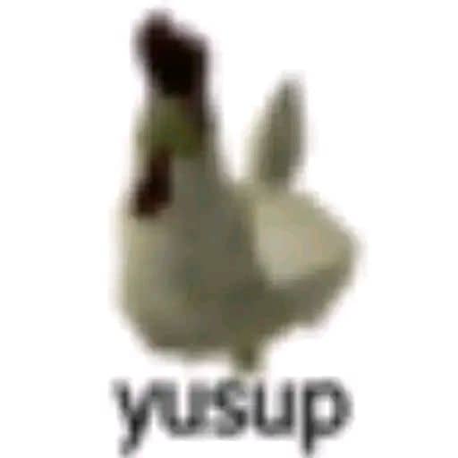 Stiker meme ayam lucu WhatsApp: Yusup, ayam lowres
